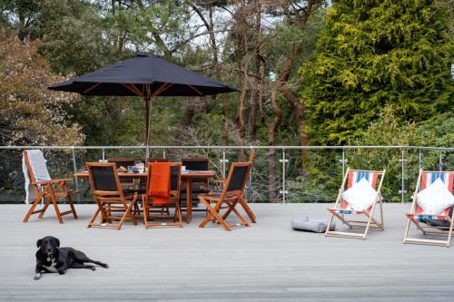 St Leonards House | Tree Top House