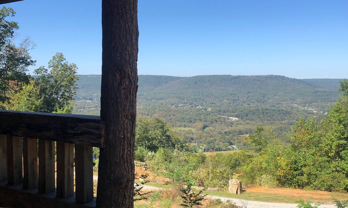 Trenton Apartment | Tree Top View