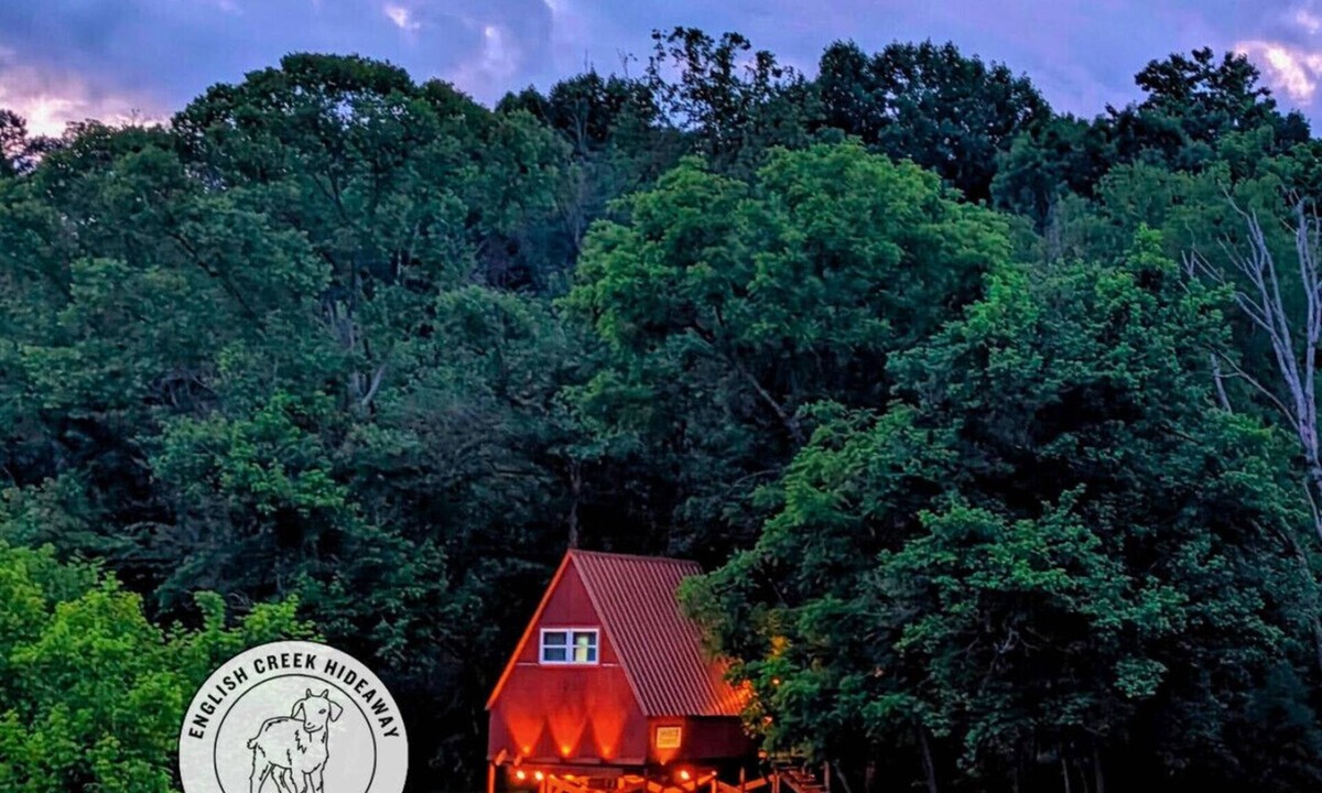Newport Cabin | Treehouse A-Frame on Goat farm