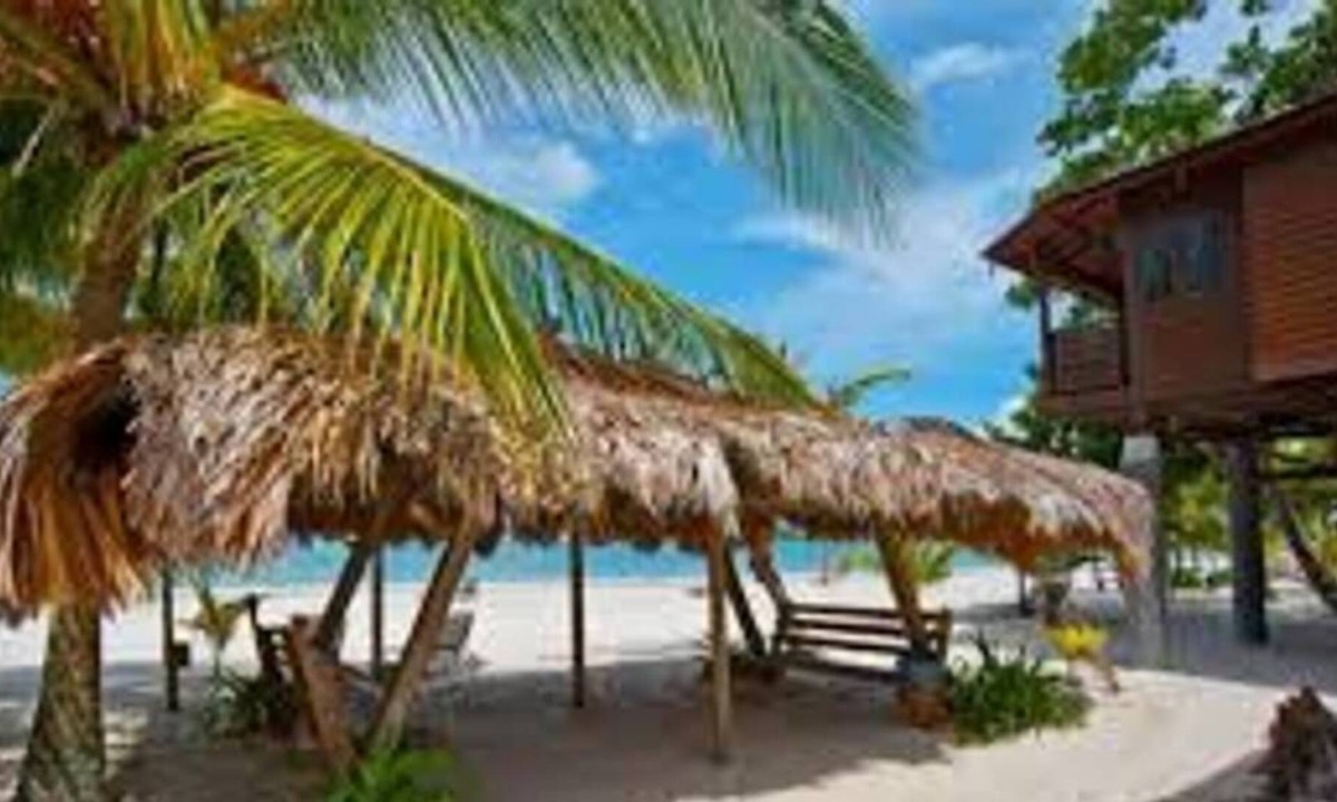 Lubok Buaya House | Treehouse Beachfront(small) Cenang Beach Langkawi