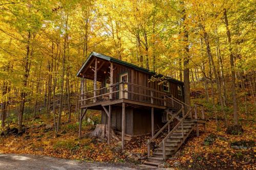 Allegheny Mountains House | Treehouse Cabin in Riverton, WV