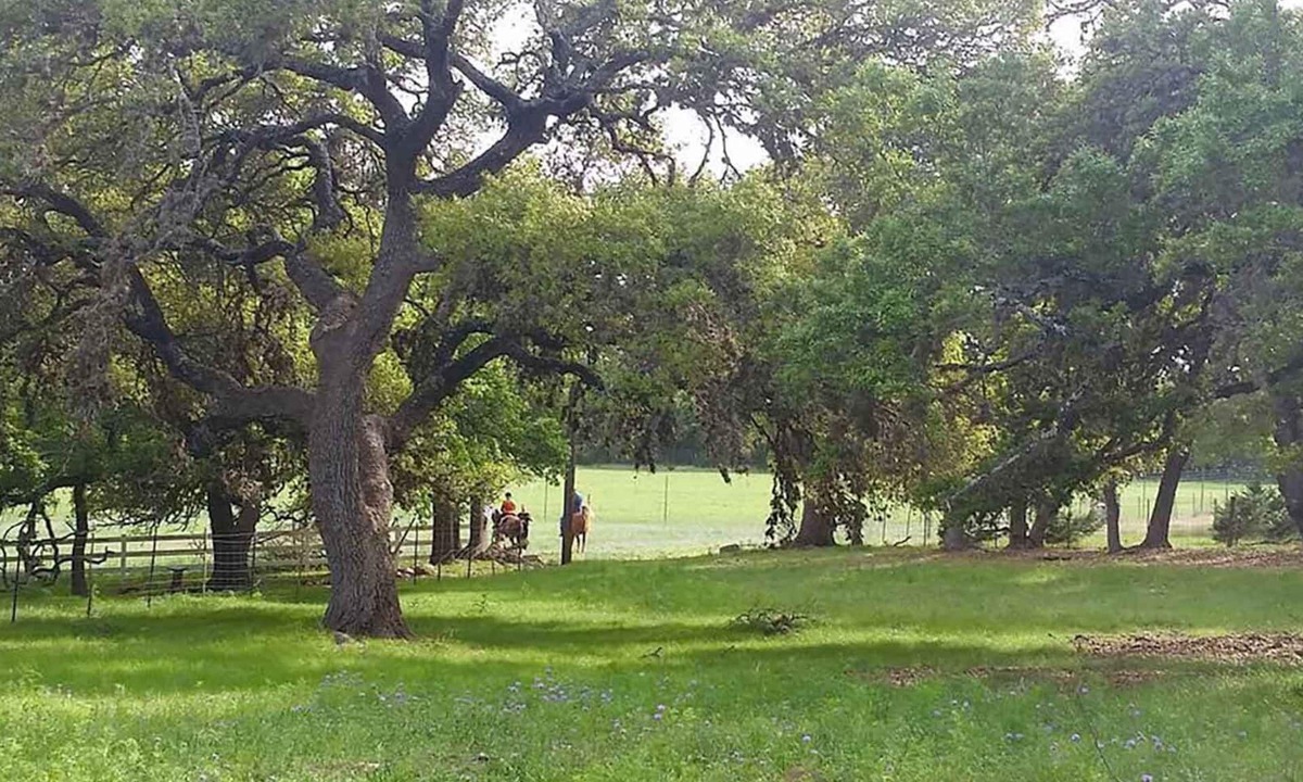 Boerne Cabin | TreeHouse Suite @ HomeAway Ranch