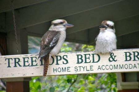 Blackburn Bed & Breakfast | Treetops Bed & Breakfast