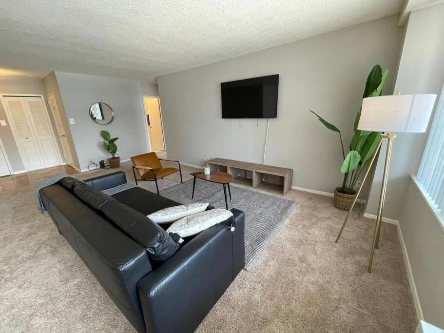 Crystal City Apartment | Trendy and Adaptable Accommodation in Crystal City