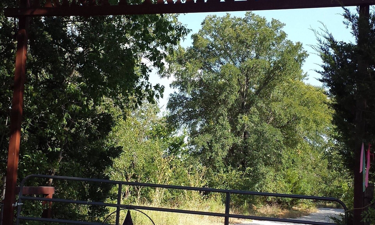 Hillsboro Cabin | Trinity Trails: New,Secluded,Quiet,Small Cabin Short Trail Walk to Lake Aquilla