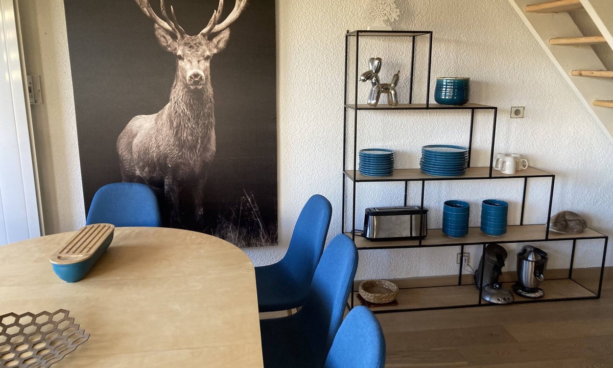 Viel-Alpe Apartment | Triplex D'exception ski aux Pieds Terrasse sud