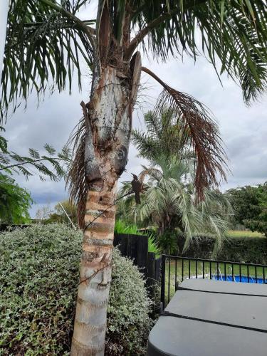 Cambridge Bed & Breakfast | Tui Glade Bed and Breakfast