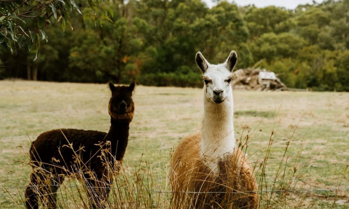 Don Valley Other | Tuscan Farmhouse
