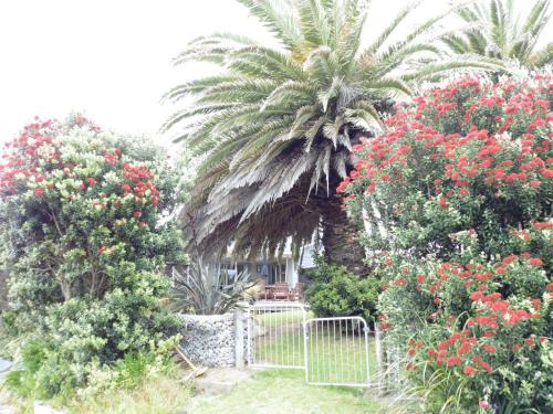Waikanae House | Twin Palms