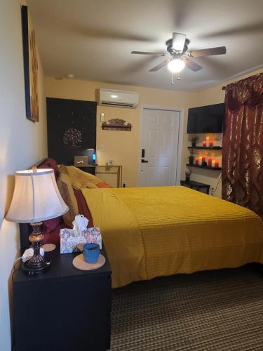 Englewood Apartment | Twin Pines Studios