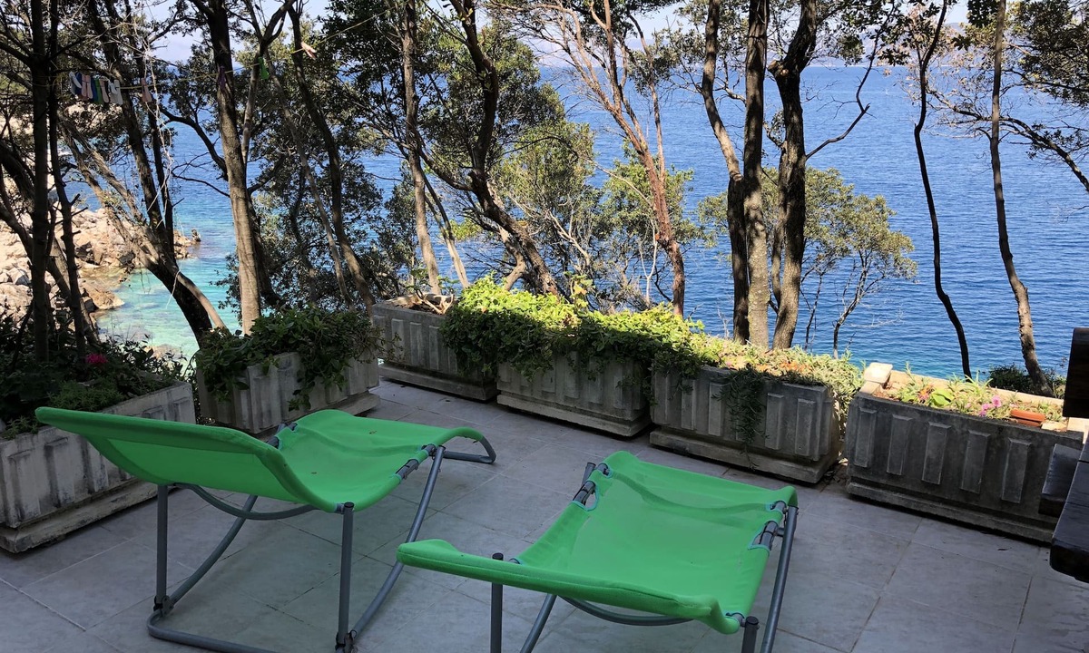 Kozarica Apartment | Two bedroom apartment near beach Kozarica, Mljet (A-4950-b)
