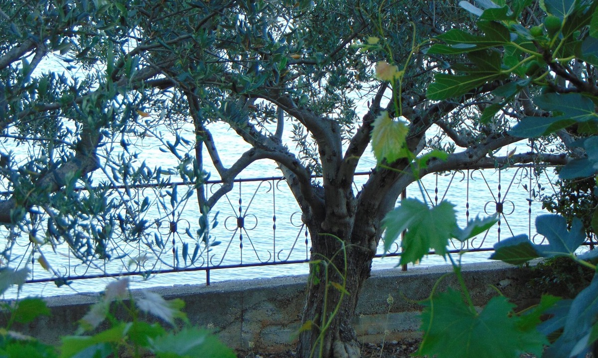 Seget Donji Apartment | Two bedroom apartment near beach Seget Donji, Trogir (A-19351-b)