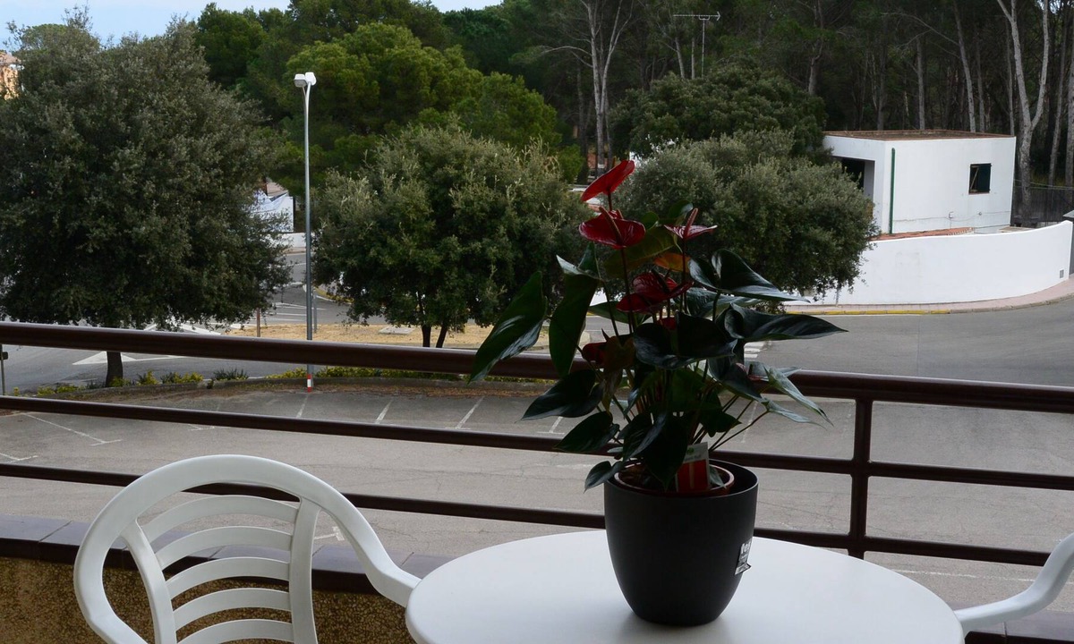 Pals Apartment | Two bedroom apartment 4-7 people.
