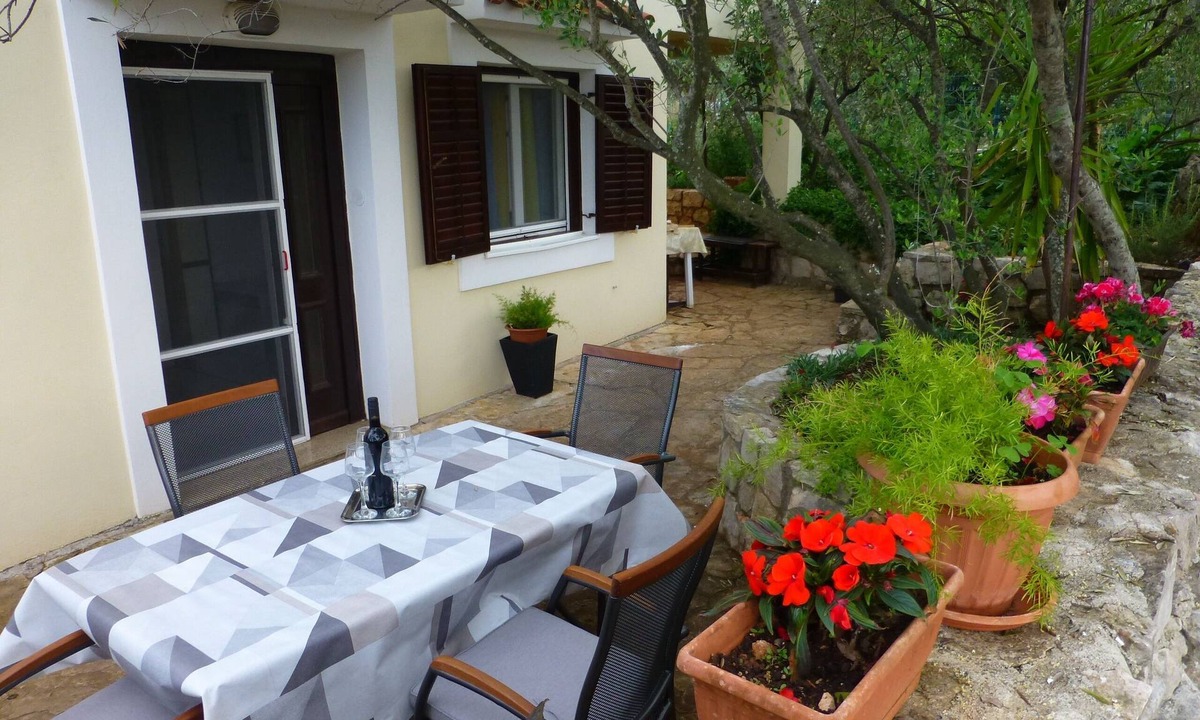 Mali Iz Apartment | Two bedroom apartment with terrace Mali Iž, Iž (A-16535-b)