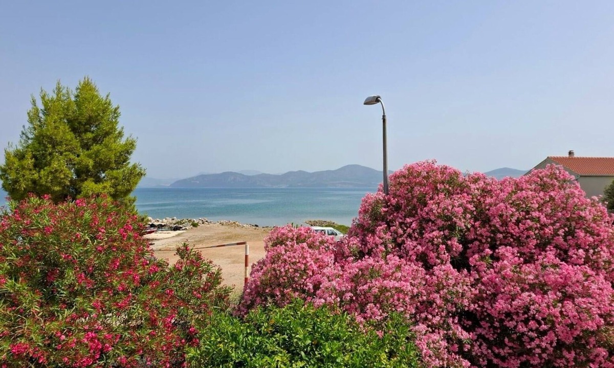 Drace Apartment | Two bedroom apartment near beach Drače, Pelješac (A-4550-a)