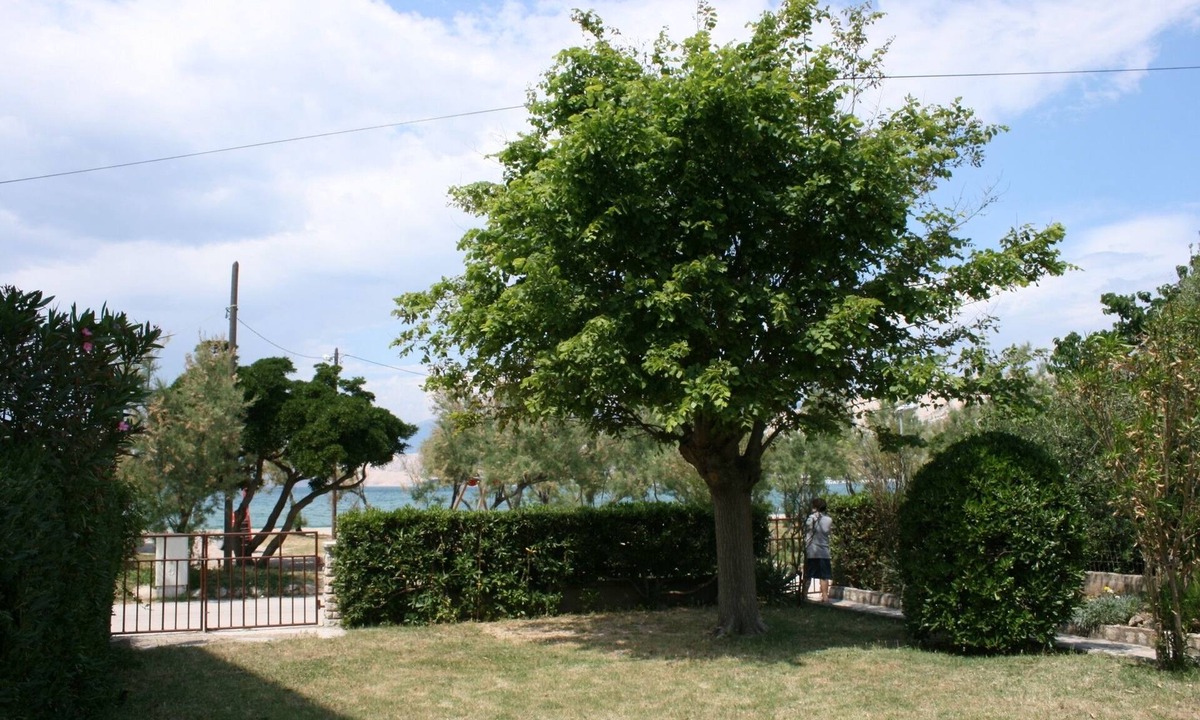 Pag Apartment | Two bedroom apartment near beach Pag (A-6413-a)