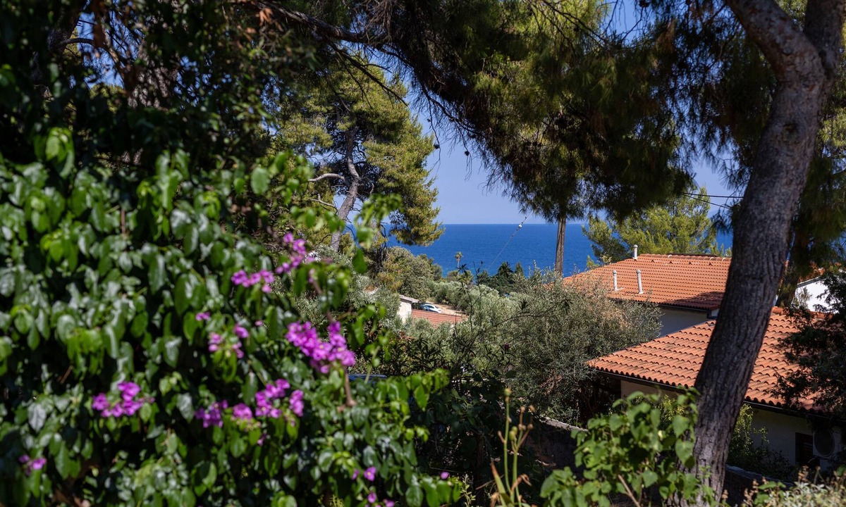 Zavala Apartment | Two bedroom apartment with terrace and sea view Zavala, Hvar (A-8710-b)