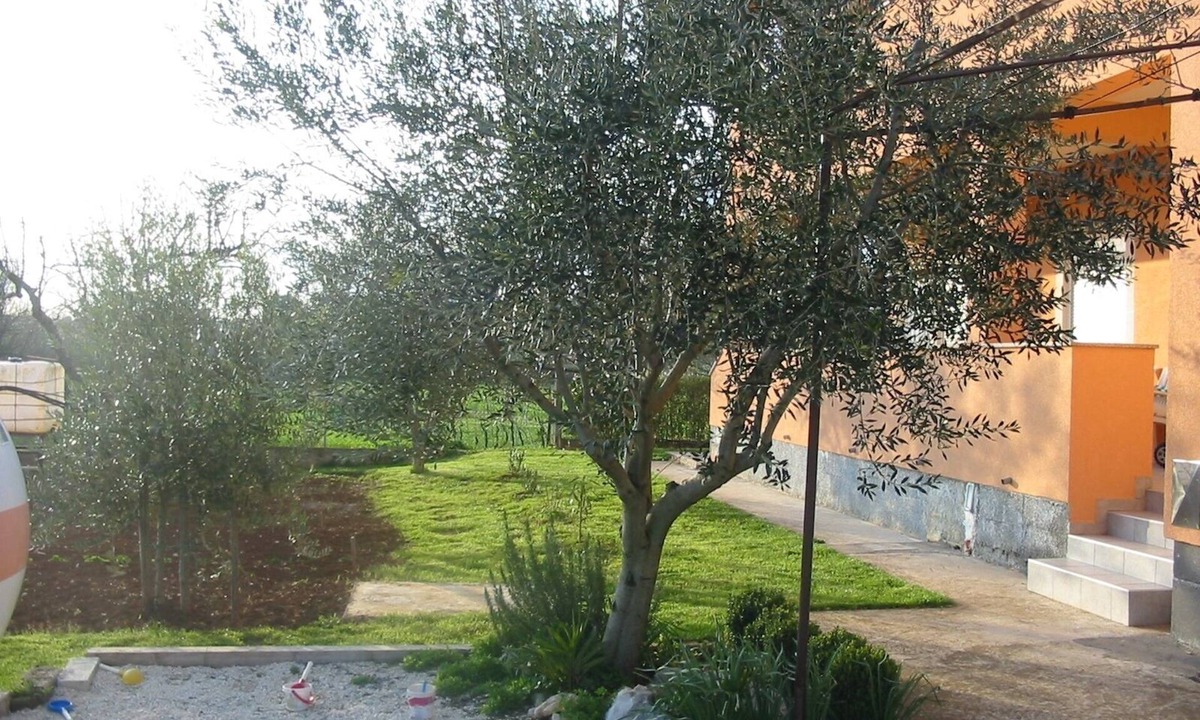 Pula Apartment | Two bedroom apartment with terrace Pula (A-7420-b)