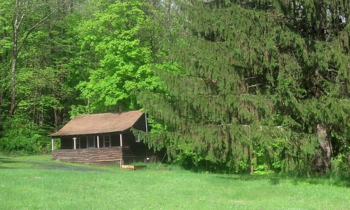 Shandaken Cabin | Two Bedroom Cabin in Central Catskills