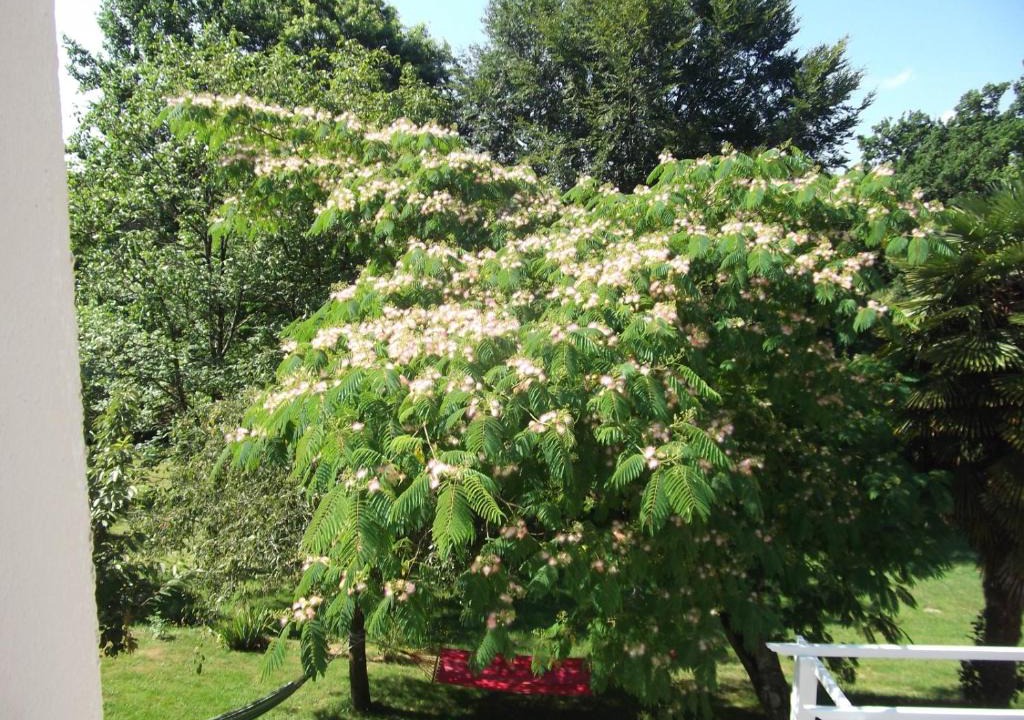 Plesse Bed & Breakfast | Ty Canal d'Or