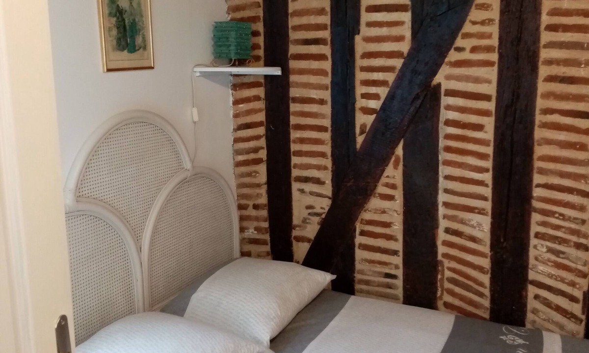 Old Town Apartment | Typical 1-star 2-room apartment facing Tours castle and cathedral