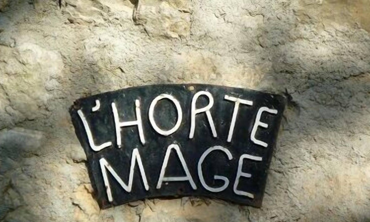 Lagrasse House | Typical house riverside