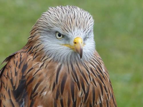 Vetricella Apartment | U FILANCIU