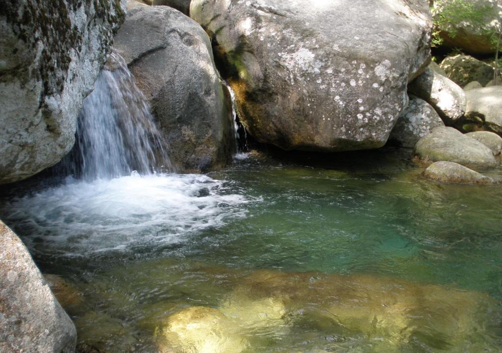 Zonza Apartment | U Paesu