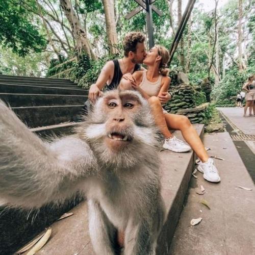 Tanjungbenoa Boat Rental | Ubud Classic Day Trip