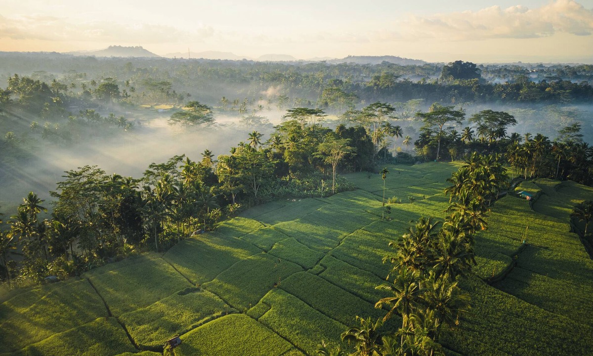 Mas Resort | Ubud Mas Glamping Luxury Tent