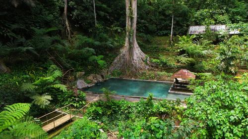 Payangan House | Udaka Retreat