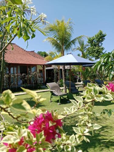 Medewi House | Uma Desa - Surf And Stay Medewi