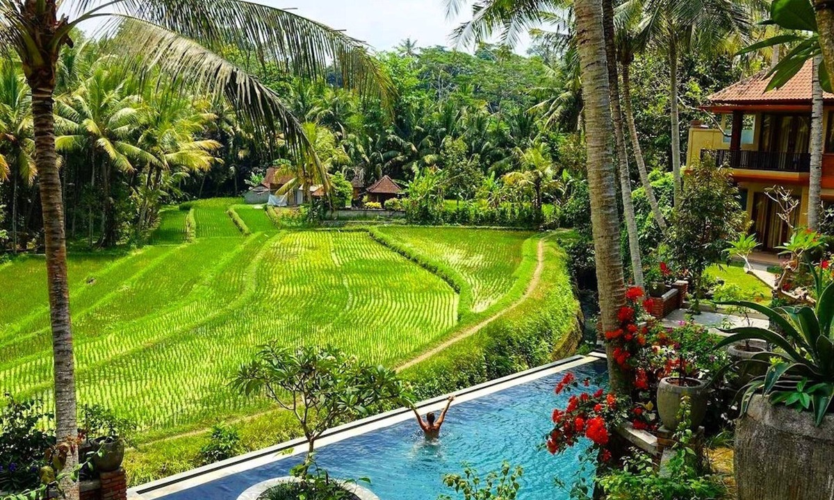 Tabanan Hotel | Umasari Rice Terrace Villa