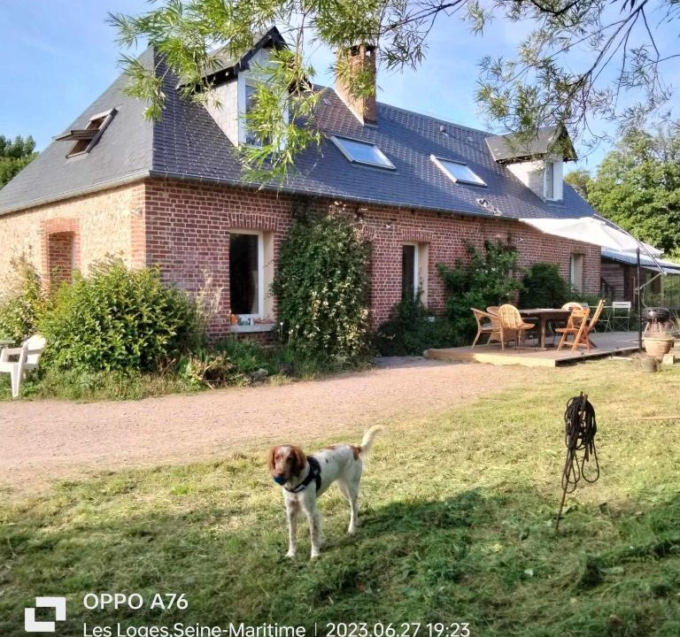 Bordeaux-Saint-Clair House | Une chambre dans la verdure