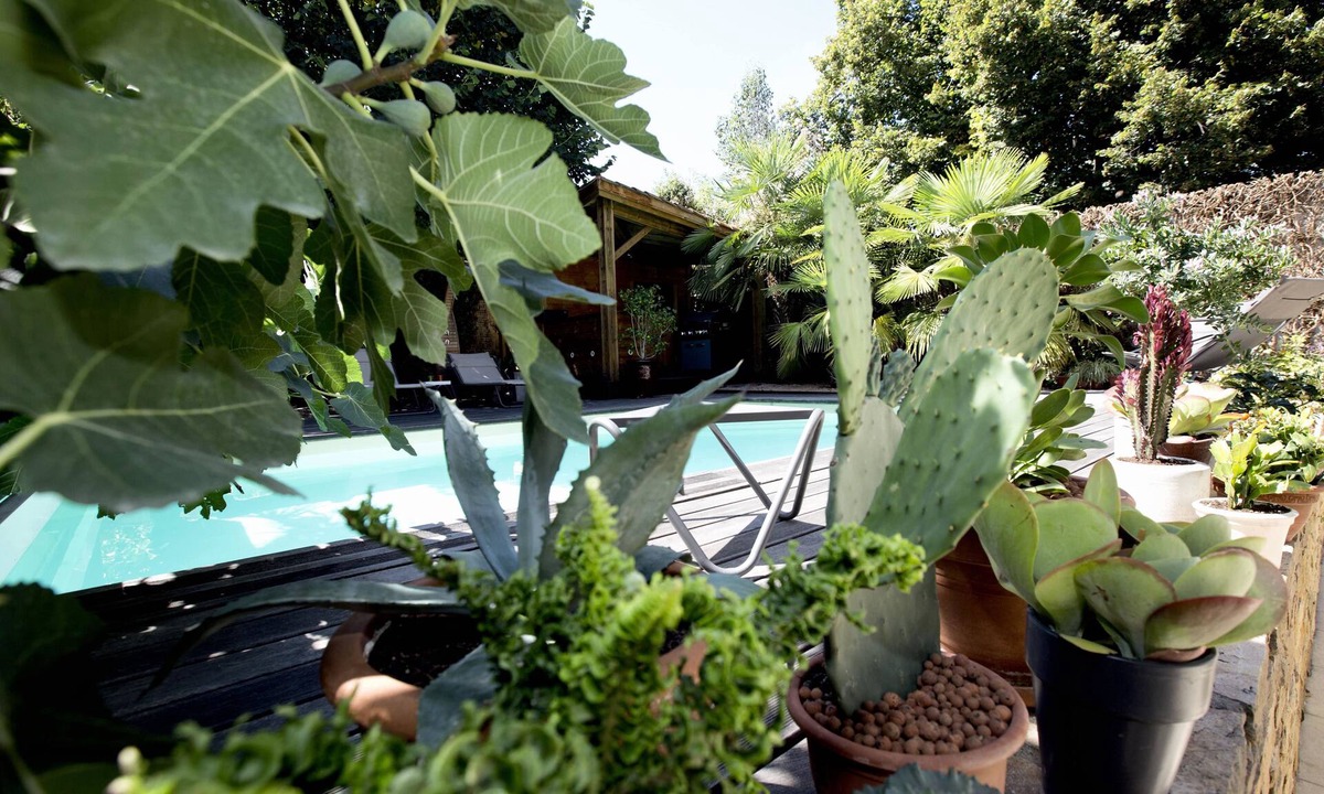 Montbrison Bed & Breakfast | Une Odeur de Tilleul