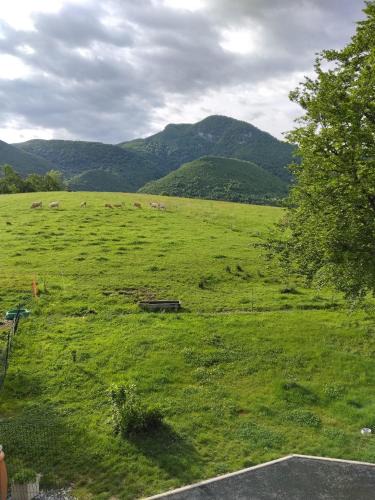 Asson Apartment | Une pause au pied des Pyrénées