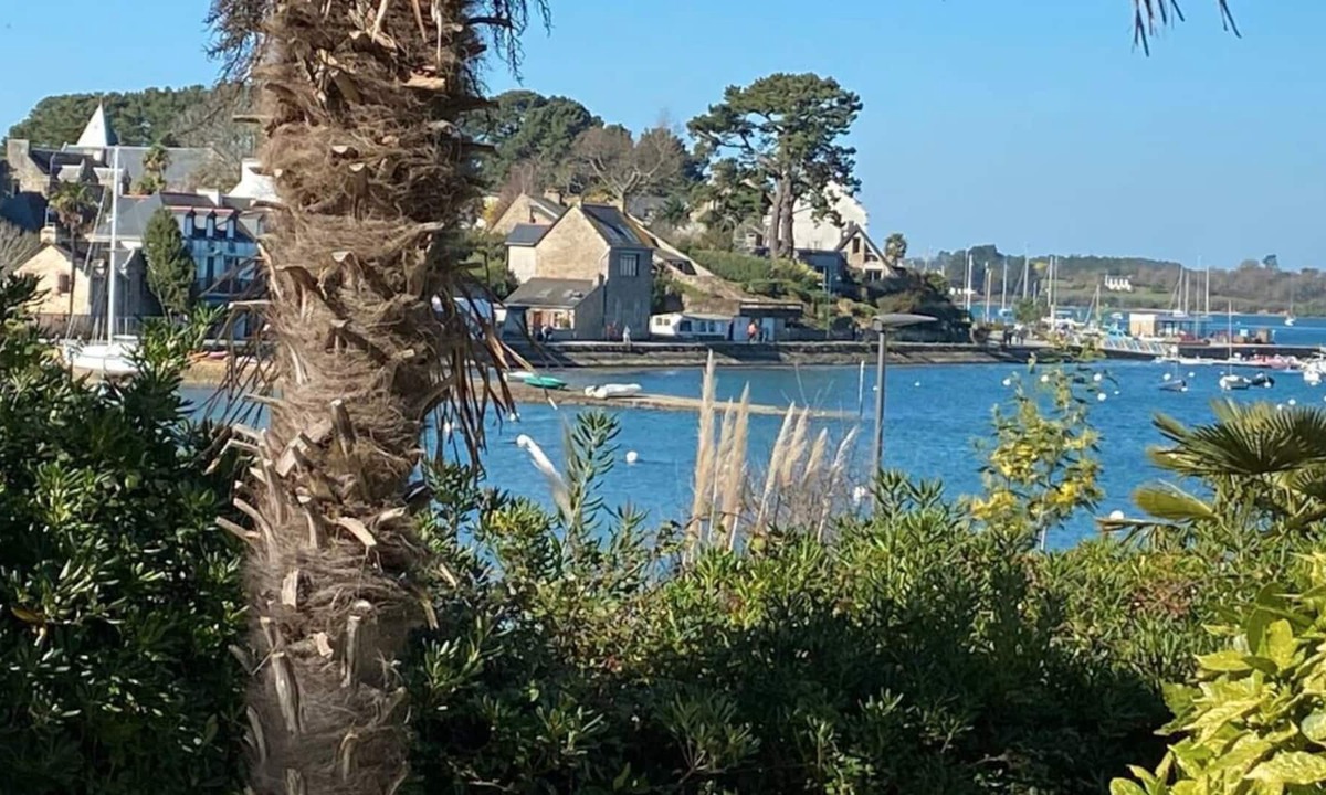 Ile-aux-Moines Villa | Une Pause Sous les Palmiers