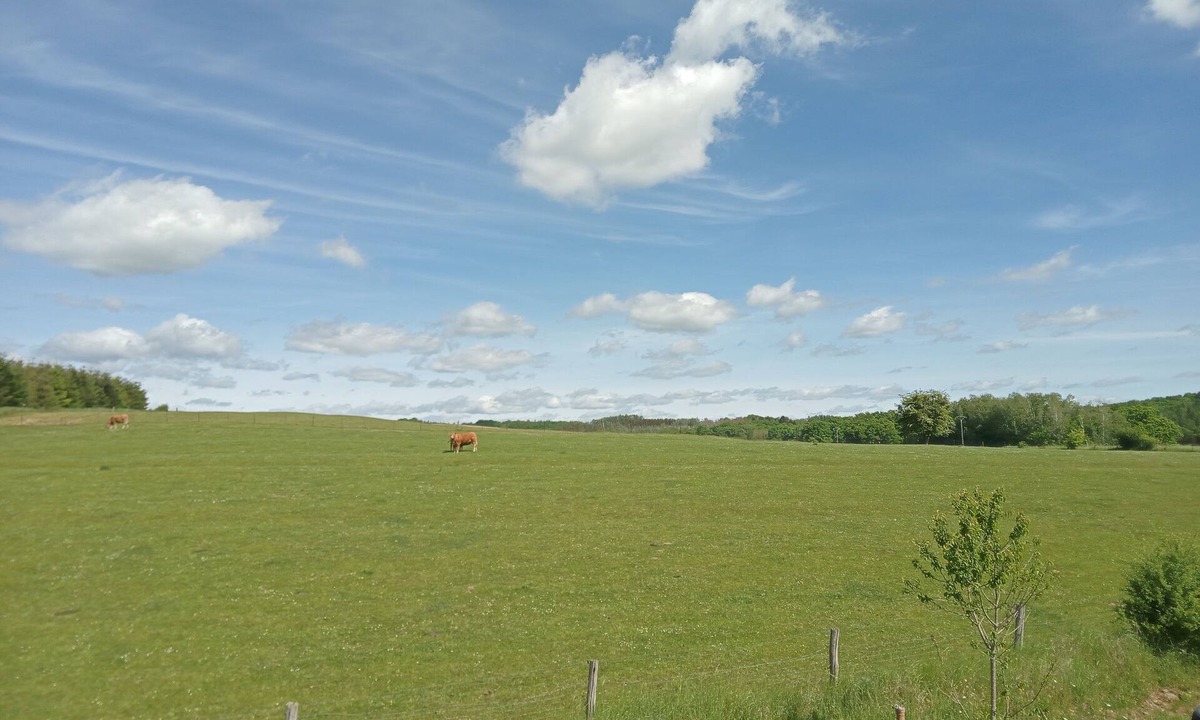 Matton-et-Clemency House | Une petite maison au calme dans les champs près de l'Abbye d'Orval.