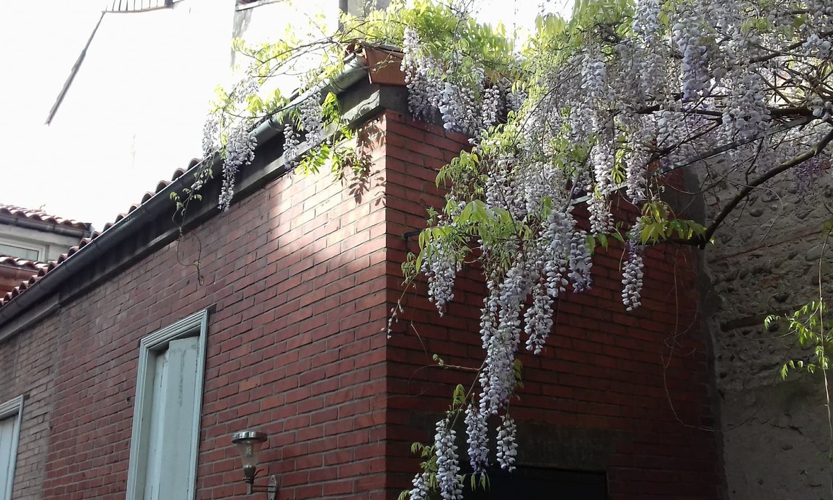 Toulouse City-Centre House | Une Véritable Toulousaine Spacieuse Avec Jardin Dans le Centre de Toulouse!