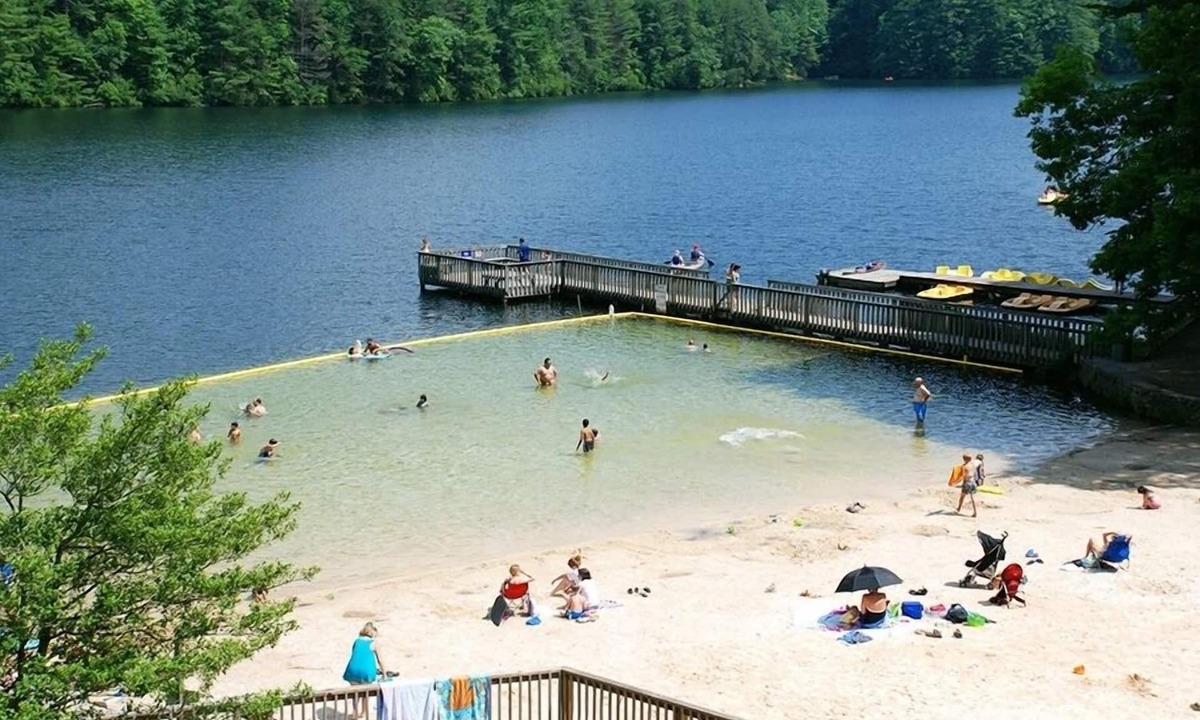 Tanglewood Cabin | Unicoi State Park & Lodge