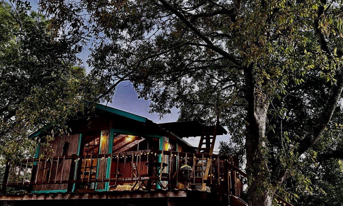 Willis Cabin | Unique Bamboo Tree House for an Unforgettable Couples Getaway by Lake Conroe, Texas