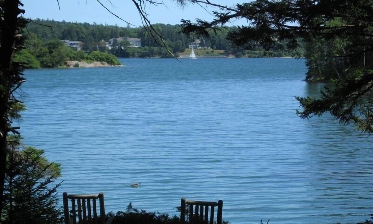 Southwest Harbor Cabin | Unique Cove Side Cabin on Somes Sound Next to Babbling Brook