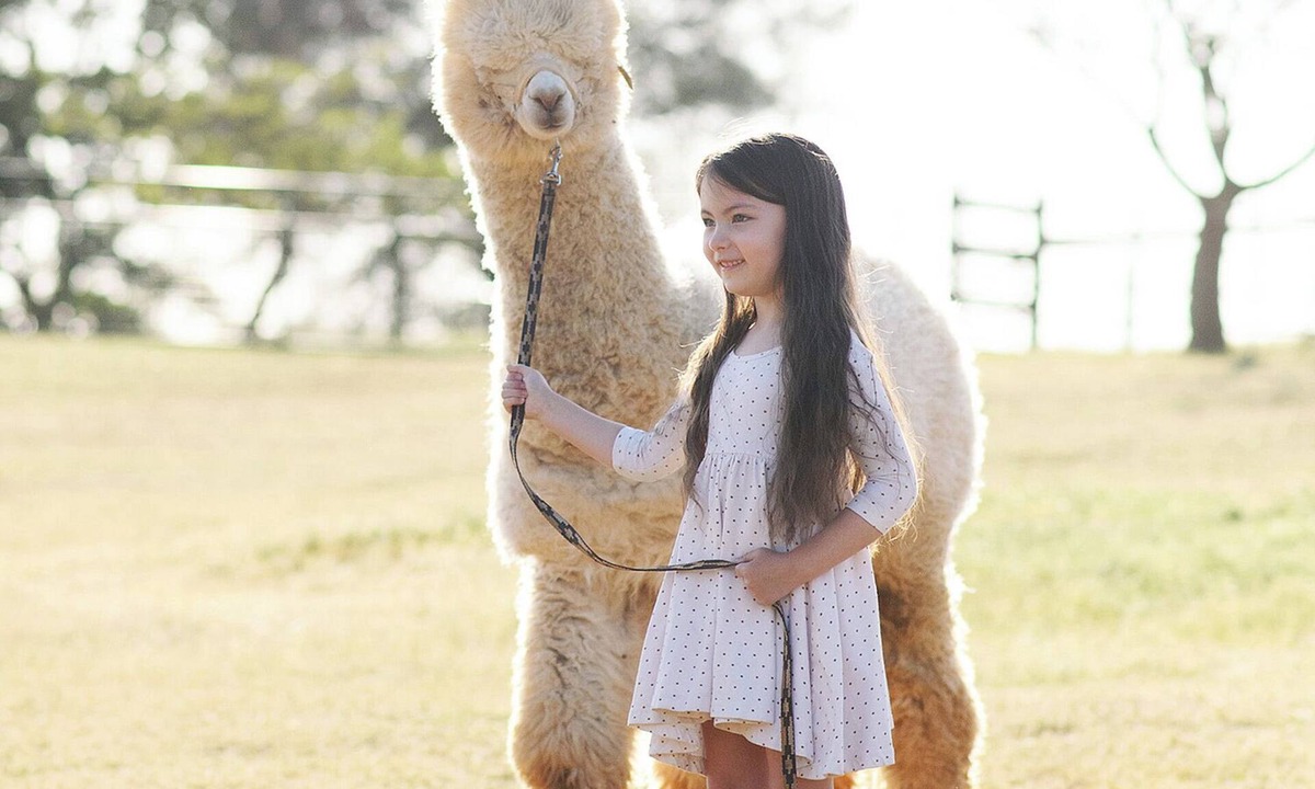 Lincoln Other | Unique Experience on a Working Alpacas Ranch.