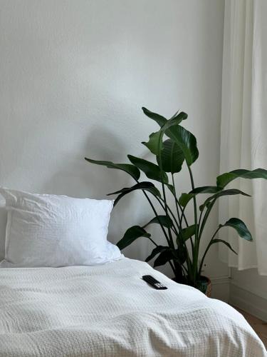 Frederiksberg Apartment | Unique location