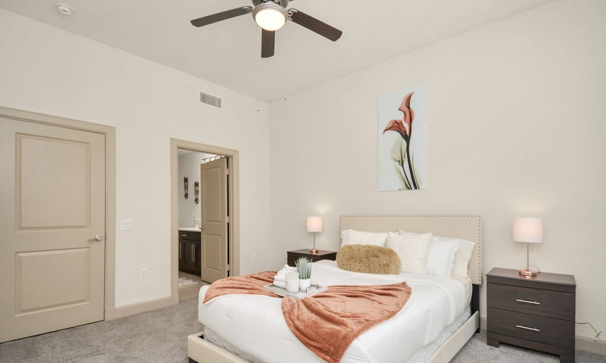 South Main Apartment | Unique Love - 5min Distance to NRG.