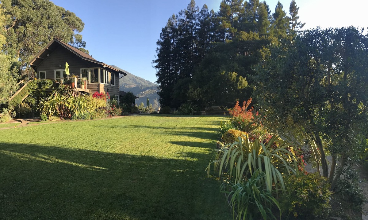 Mill Valley House | Unique Mill Valley Home