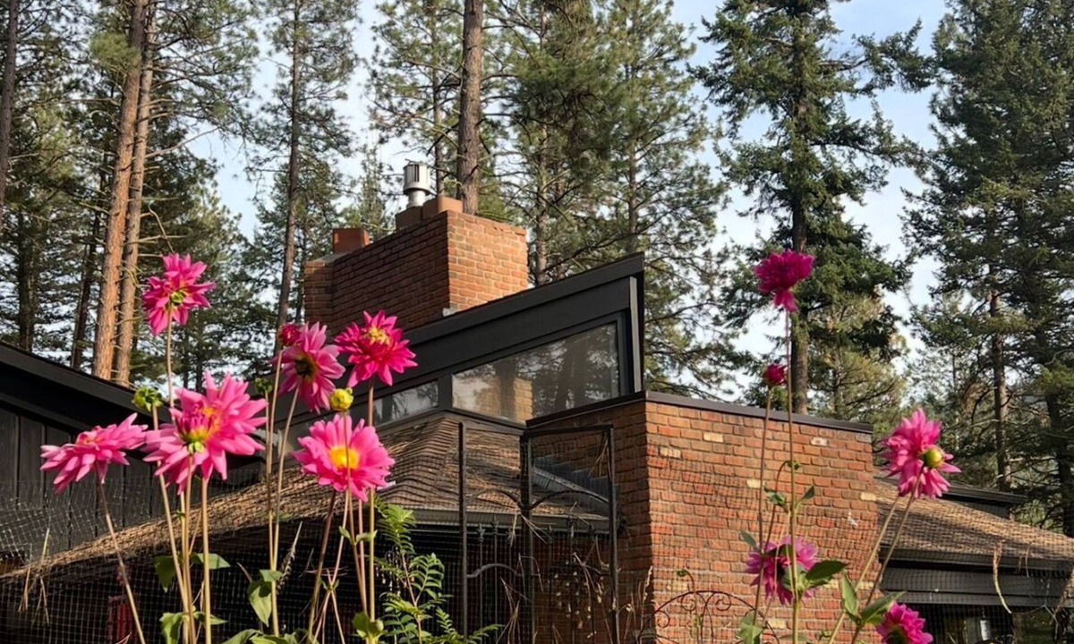Missoula House | Unique Private Forest Retreat ~ 15 minutes from Downtown.