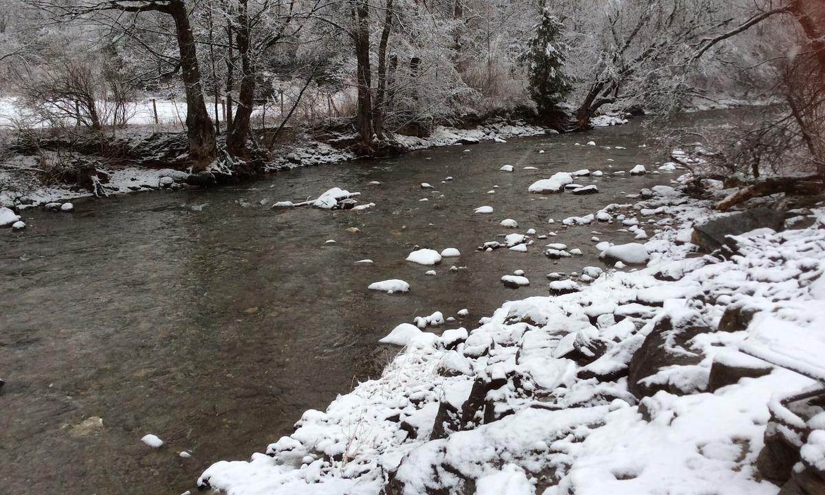 Montgomery Center House | Unit #1 On The Trout River **PET FRIENDLY 🐾🐕