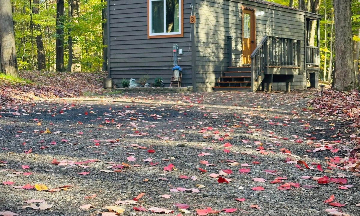 Birch Run Township Cabin | Unit 3 Lodge Cabin