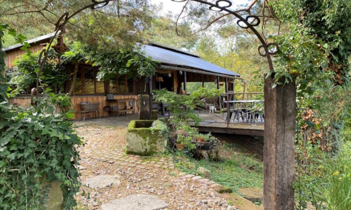 Andlau Ski Chalet | Unusual accommodation with exceptional views over the Alsace plain;